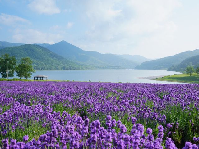 かなやま湖イメージ
