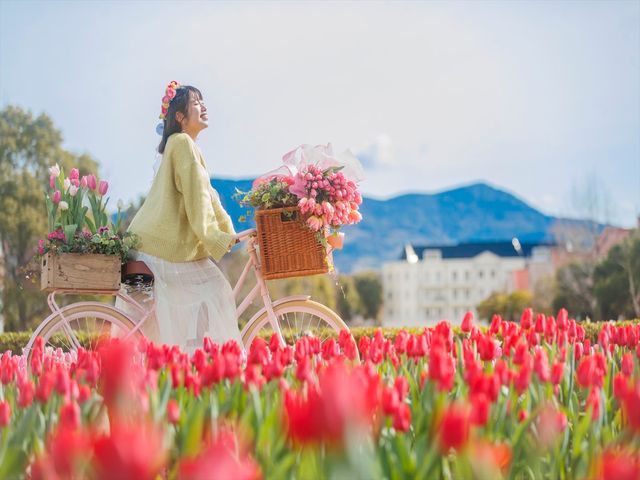 フラワーロードイメージ