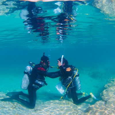 慶良間諸島ボート体験ダイビングイメージ