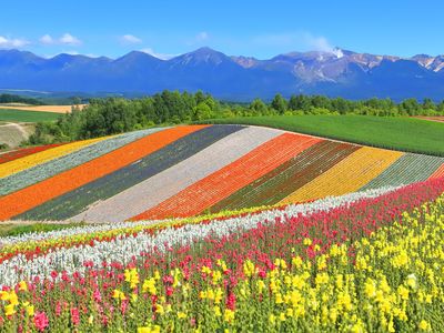 北海道フリープラン レンタカーなしイメージ