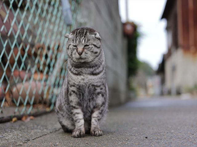 高松空港 往復飛行機+ホテル1泊イメージ