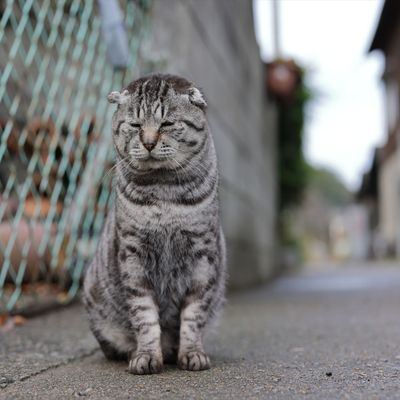 高松空港 往復飛行機＋ホテル1泊イメージ