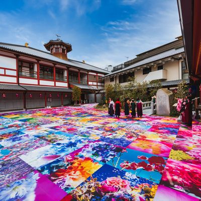 松山空港 往復飛行機＋ホテル1泊イメージ