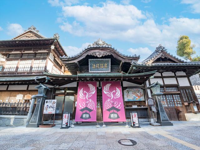 愛媛フリープランイメージ