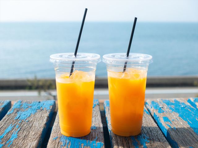 2日目：香川 → 愛媛 – 道後温泉と街歩きイメージ