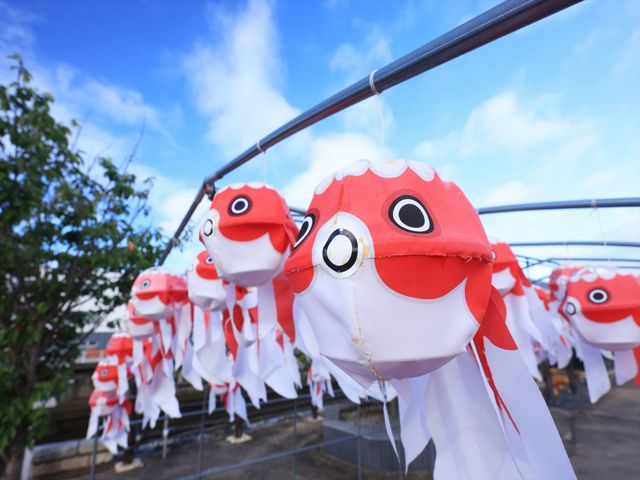 山口宇部空港 往復飛行機+ホテル1泊イメージ