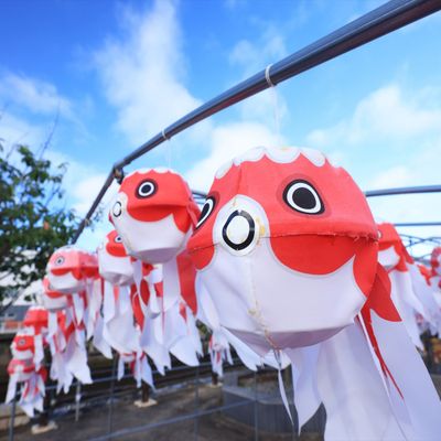 山口宇部空港 往復飛行機＋ホテル1泊イメージ