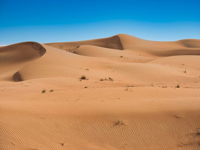 鳥取フリープランイメージ