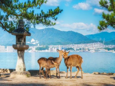 広島ツアー・広島旅行