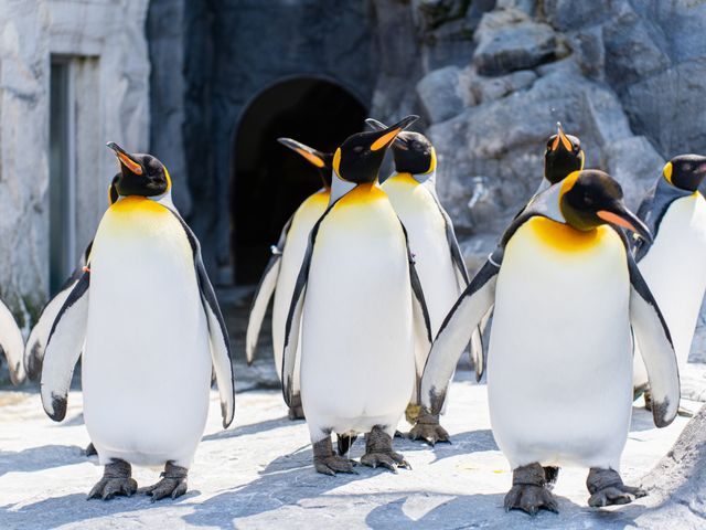 旭山動物園の基本情報イメージ