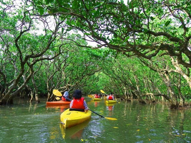 6月の奄美大島ツアーは…イメージ