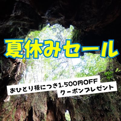 夏休みセール 奄美大島・屋久島イメージ