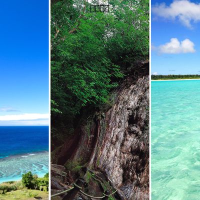 奄美・屋久島・与論島のツアー価格比較|ジェイトリップ vs 大手・中小旅行会社イメージ