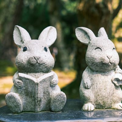 レンタカー付　島根旅行イメージ