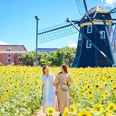 夏のハウステンボス イベント・季節情報イメージ