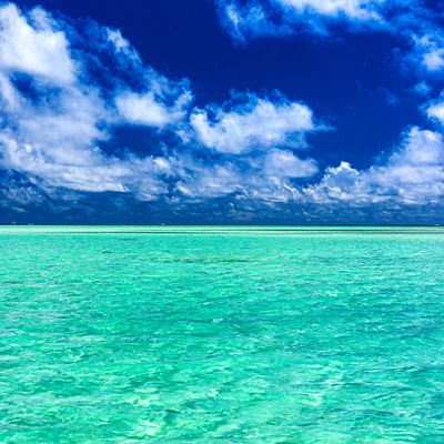 与論島フリープランイメージ