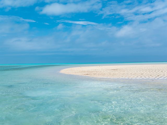 10:30｜【幻の砂浜】百合ヶ浜上陸ツアー（潮の時間に注意）イメージ