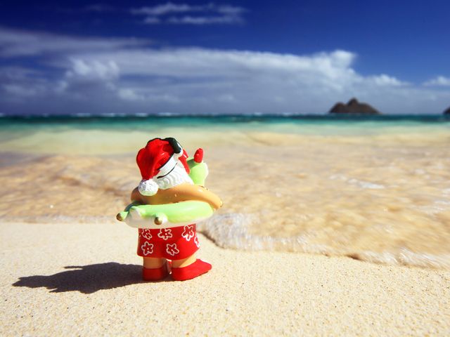 南国のクリスマス&年末イメージ