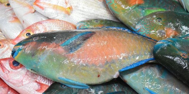 イラブチャーの刺身