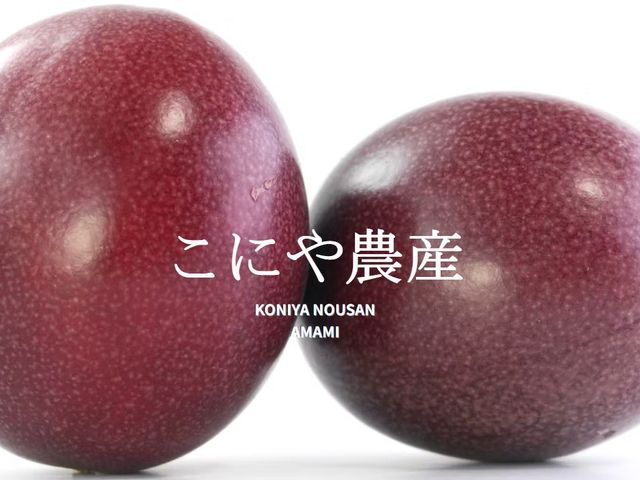 たんかんの生産者様イメージ