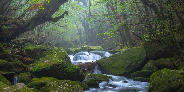 ツアーイメージ