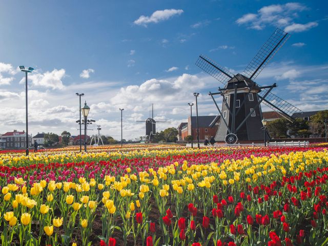 《3月とにかく安く行きたい》九州旅行フリープランイメージ