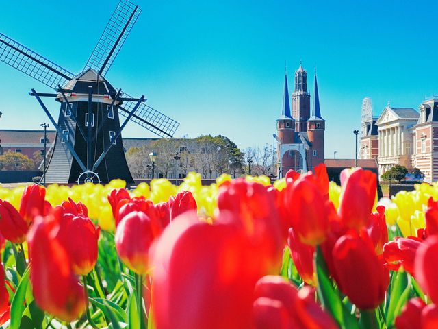 100万本のチューリップ祭<br />
2026年2月上旬~2026年4月上旬イメージ