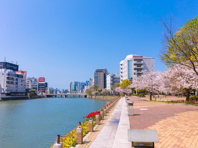 君の膵臓をたべたい<br />
天神南駅前や清流公園、太宰府天満宮イメージ