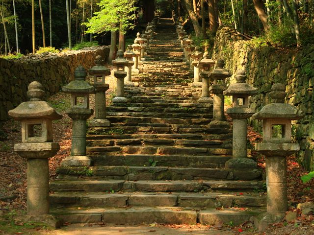 「Ghost of Tsushima」(ゴースト・オブ・ツシマ)<br />
長崎県対馬イメージ
