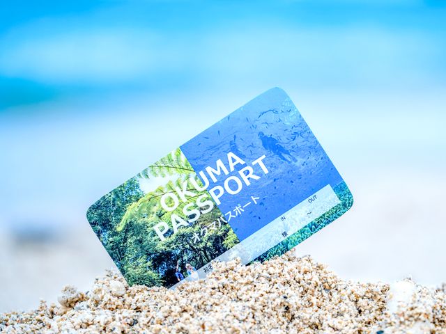 ウィンターオクマパスポート付き<br />
《冬の”極上”オクマスペシャルのみ対象》イメージ