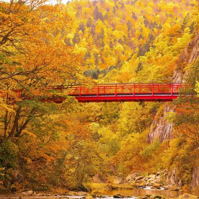 定山渓温泉&紅葉コース|札幌の奥座敷で自然と温泉を満喫イメージ