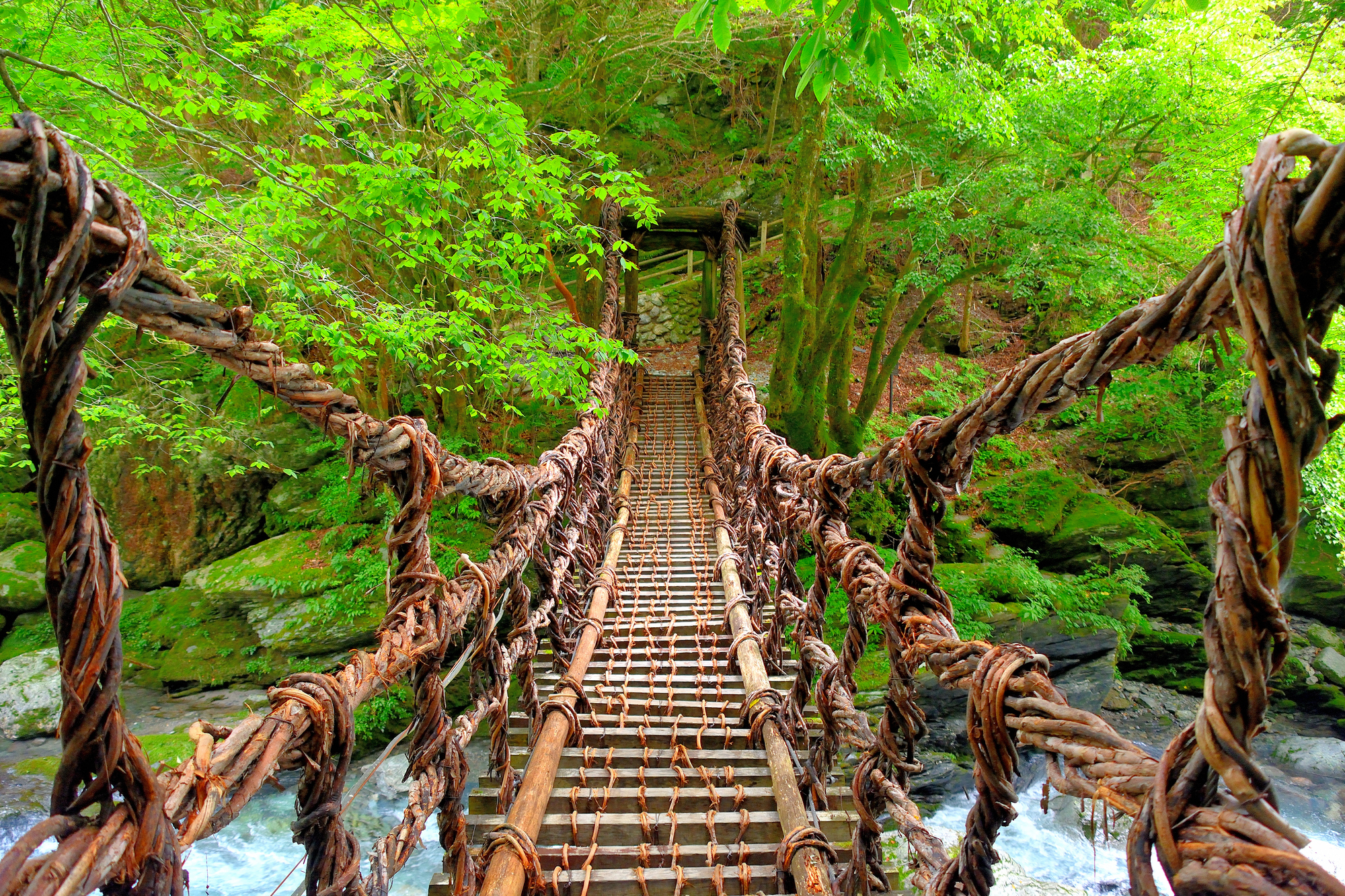 祖谷のかずら橋（徳島）