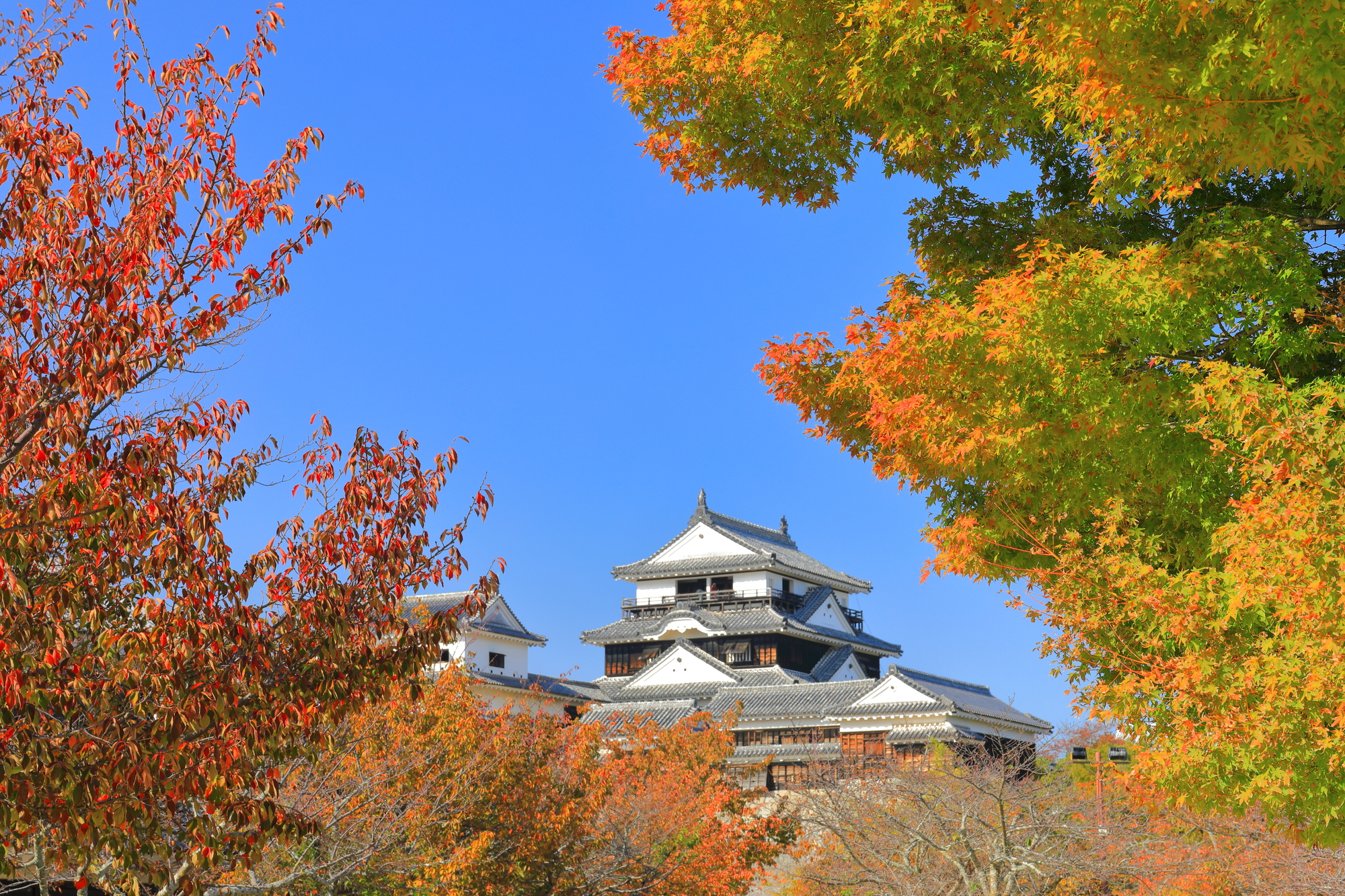 松山城（愛媛）