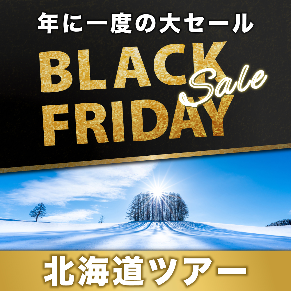 ブラックフライデーセール国内旅行2025 東京発｜【公式】ジェイ