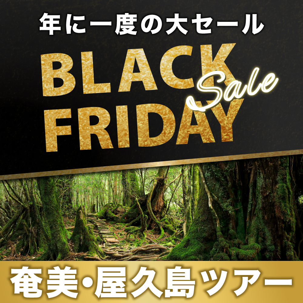 ブラックフライデーセール国内旅行2025 東京発｜【公式】ジェイ