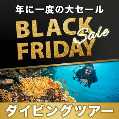 ブラックフライデー2025 ダイビング旅行イメージ