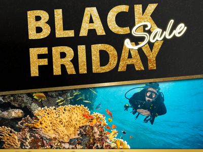 ブラックフライデー2025 ダイビングツアーイメージ