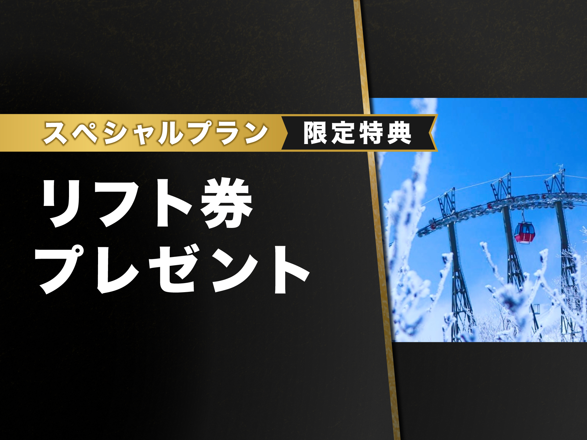 ブラックフライデーセール国内旅行2025 東京発｜【公式】ジェイ