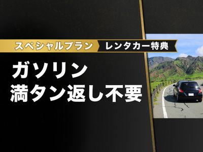 ガソリン給油不要