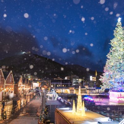 とにかく安く行きたい函館旅行イメージ