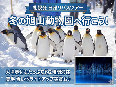 旭山動物園で動物にふれあう旅♪おすすめ北海道旅行イメージ