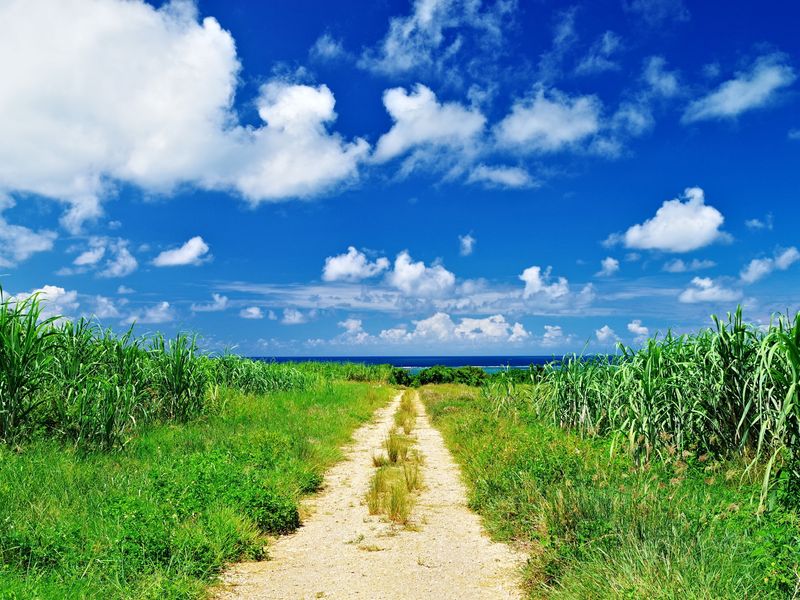 小浜島