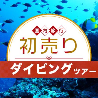 2026 新春 初売りセール ダイビングツアーイメージ