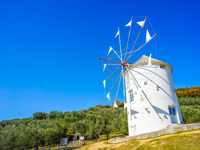 オリーブ公園｜小豆島らしさを感じる定番スポットイメージ