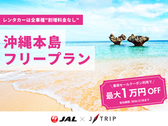 沖縄本島フリープランイメージ