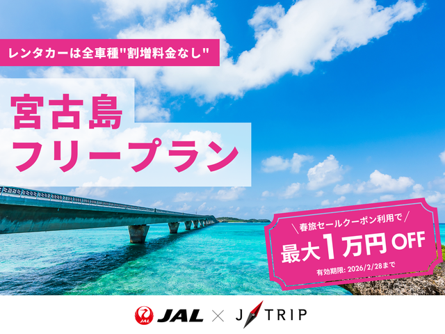 宮古島フリープランイメージ