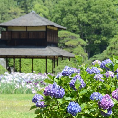 とにかく安くいきたい！6月 中国・四国ツアーイメージ