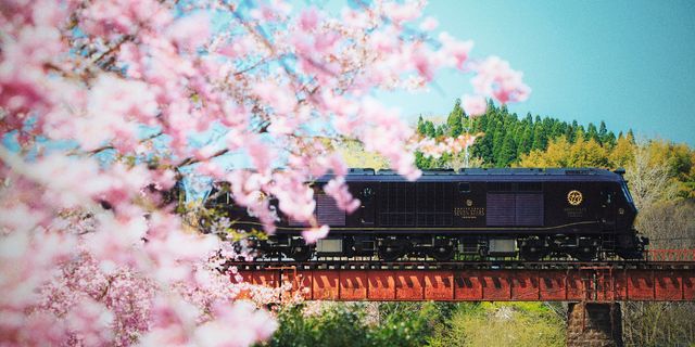 おすすめツアー