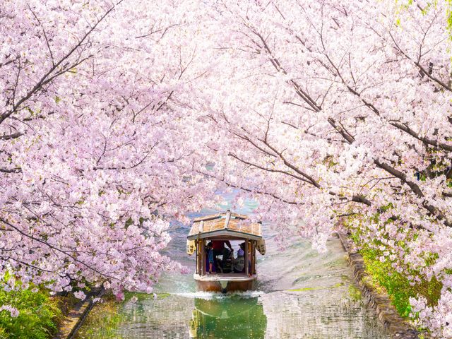 4月の見どころは･･･イメージ