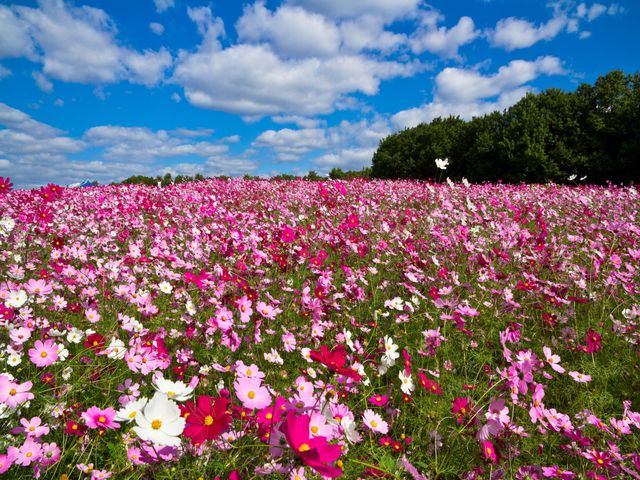 10月のイベントは･･･イメージ